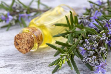 Biberiye esansiyel yağı küçük bir şişe içinde. Doğal aroma kozmetik