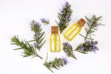 Biberiye esansiyel yağı küçük bir şişe içinde. Doğal aroma kozmetik