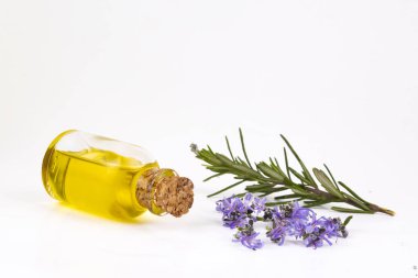 Biberiye esansiyel yağı küçük bir şişe içinde. Doğal aroma kozmetik