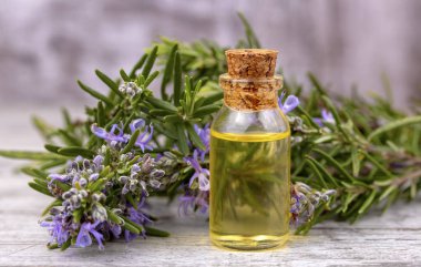 Biberiye esansiyel yağı küçük bir şişe içinde. Doğal aroma kozmetik