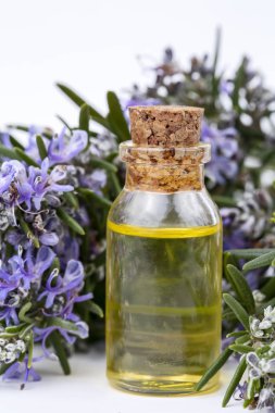 Biberiye esansiyel yağı küçük bir şişe içinde. Doğal aroma kozmetik