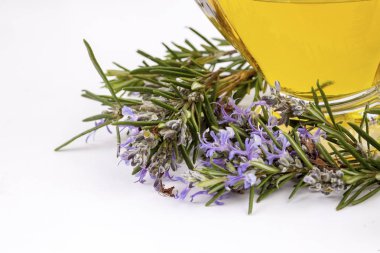 Biberiye esansiyel yağı küçük bir şişe içinde. Doğal aroma kozmetik