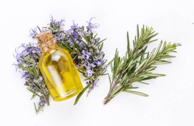 Biberiye esansiyel yağı küçük bir şişe içinde. Doğal aroma kozmetik