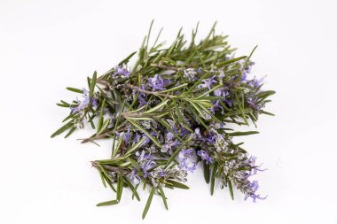 Biberiye esansiyel yağı küçük bir şişe içinde. Doğal aroma kozmetik