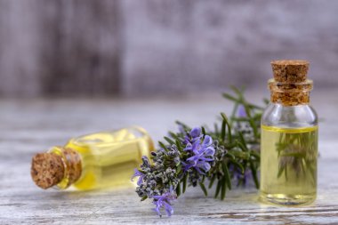 Biberiye esansiyel yağı küçük bir şişe içinde. Doğal aroma kozmetik