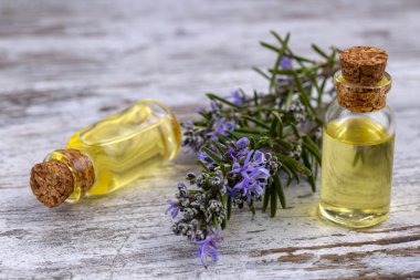 Biberiye esansiyel yağı küçük bir şişe içinde. Doğal aroma kozmetik