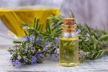 Biberiye esansiyel yağı küçük bir şişe içinde. Doğal aroma kozmetik