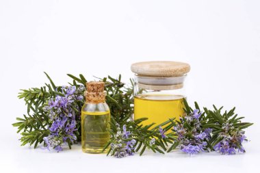 Biberiye esansiyel yağı küçük bir şişe içinde. Doğal aroma kozmetik