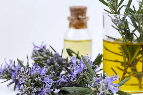 Rosemary essential oil in a small bottle. Natural aroma cosmetic