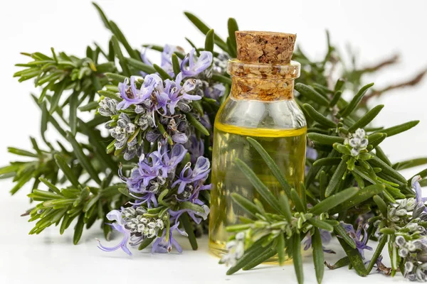 Rosemary essential oil in a small bottle. Natural aroma cosmetic