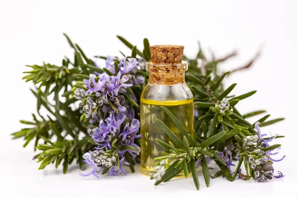 Rosemary essential oil in a small bottle. Natural aroma cosmetic