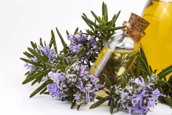 Aceite esencial de romero en una botella pequeña. Aroma natural cosmético — Foto de Stock