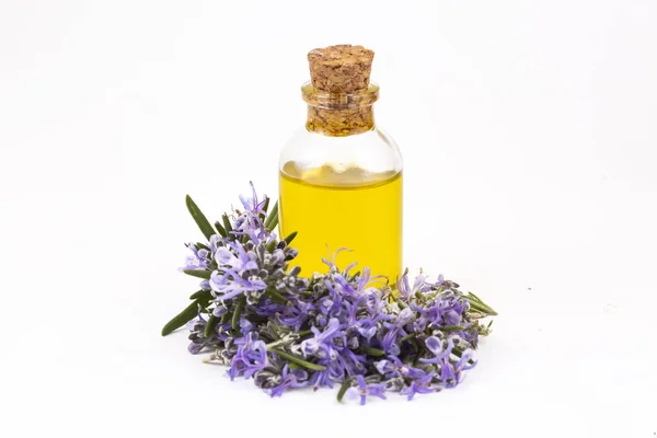 Aceite esencial de romero en una botella pequeña. Aroma natural cosmético — Foto de Stock