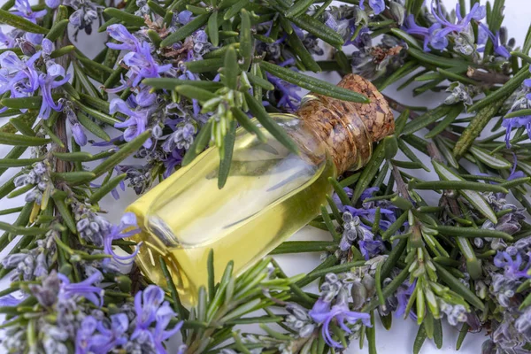 Rosemary essential oil in a small bottle. Natural aroma cosmetic — Stock Photo, Image