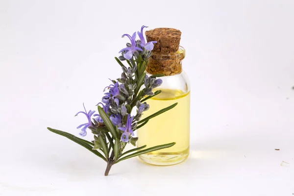 Rosmarin eterisk olja i en liten flaska. Naturlig arom kosmetiska — Stockfoto
