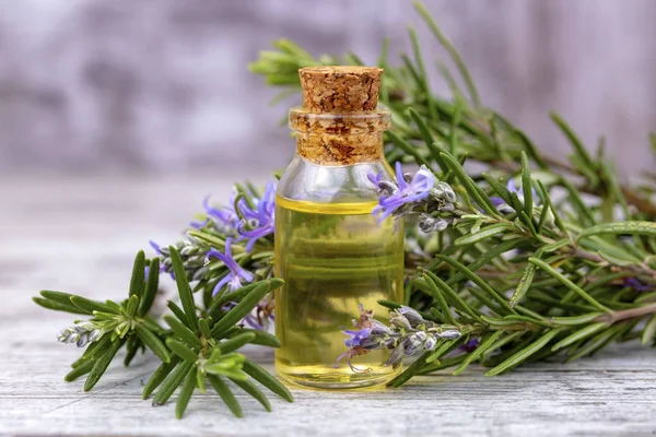 Biberiye esansiyel yağı küçük bir şişe içinde. Doğal aroma kozmetik