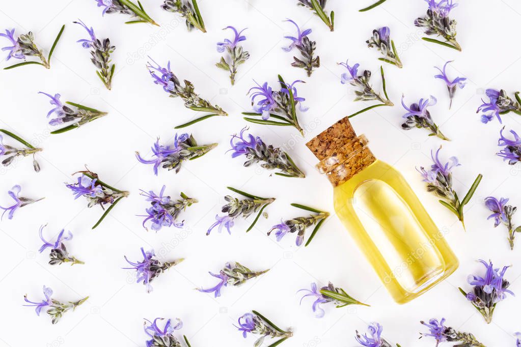 Rosemary essential oil in a small bottle. Natural aroma cosmetic