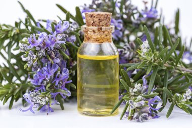 Biberiye esansiyel yağı küçük bir şişe içinde. Doğal aroma kozmetik