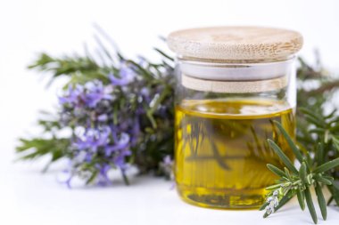 Biberiye esansiyel yağı küçük bir şişe içinde. Doğal aroma kozmetik