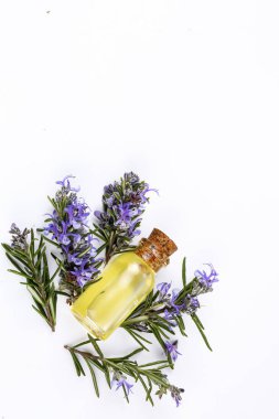 Biberiye esansiyel yağı küçük bir şişe içinde. Doğal aroma kozmetik