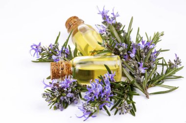 Biberiye esansiyel yağı küçük bir şişe içinde. Doğal aroma kozmetik
