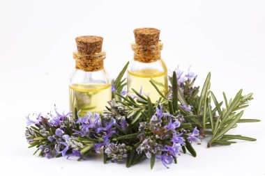 Biberiye esansiyel yağı küçük bir şişe içinde. Doğal aroma kozmetik