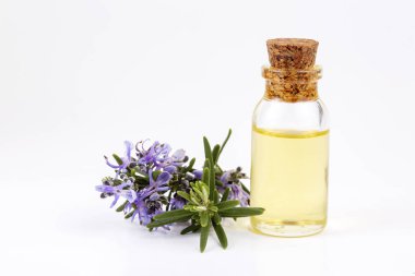 Biberiye esansiyel yağı küçük bir şişe içinde. Doğal aroma kozmetik