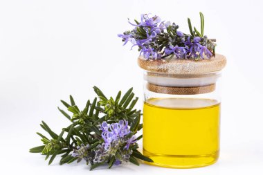 Biberiye esansiyel yağı küçük bir şişe içinde. Doğal aroma kozmetik