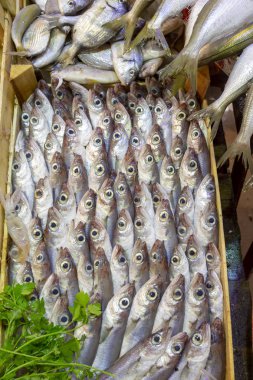 Bostanlı / Izmir / Türkiye, 20 Şubat 2019, Bostanlı balık işareti