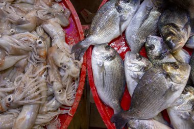 Bostanlı / Izmir / Türkiye, 20 Şubat 2019, Bostanlı balık işareti