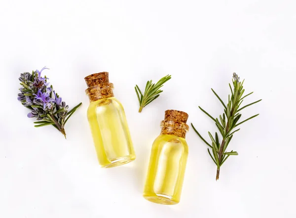 Rosemary essential oil in a small bottle. Natural aroma cosmetic