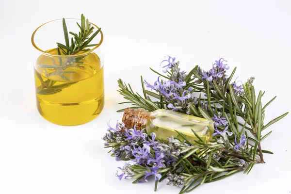 Aceite esencial de romero en una botella pequeña. Aroma natural cosmético — Foto de Stock