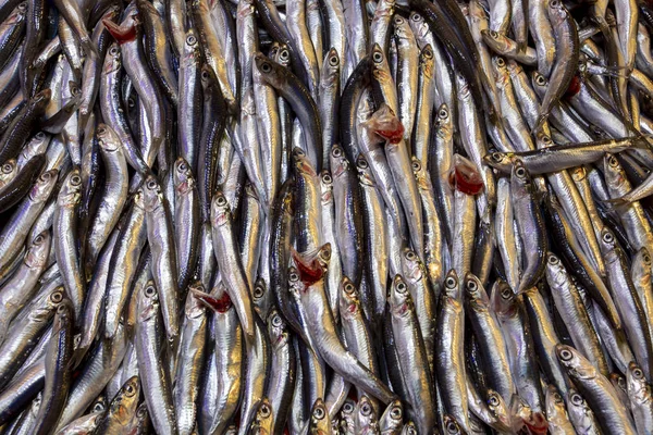 Bostanli / Izmir / Turkey, 20 febbraio 2019, Bostanli fish mark — Foto Stock