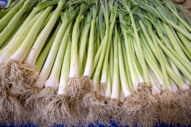 Yeşil taze organik pırasa sebze pazarı doku