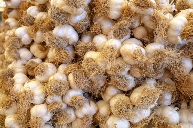 Taze organik sarımsak sebze pazarı. Gıda kavramı fotoğraf. 