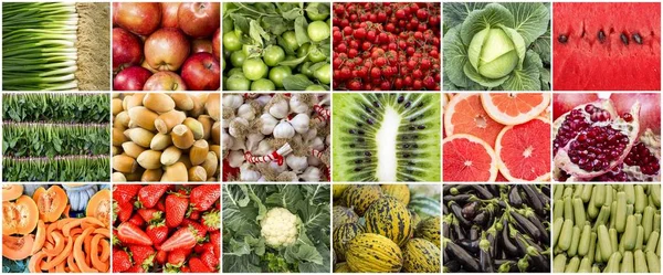 Frisches Bio-Obst und -Gemüse Collage Foto — Stockfoto