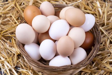 Kuru saman içinde çiğ yumurta. Gıda kavramı fotoğraf. 