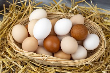 Kuru saman içinde çiğ yumurta. Gıda kavramı fotoğraf. 