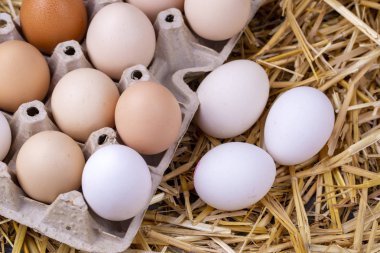 Kuru saman içinde çiğ yumurta. Gıda kavramı fotoğraf. 