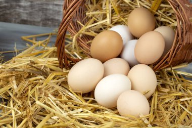 Kuru saman içinde çiğ yumurta. Gıda kavramı fotoğraf. 