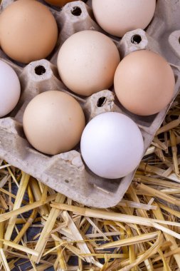 Kuru saman içinde çiğ yumurta. Gıda kavramı fotoğraf. 