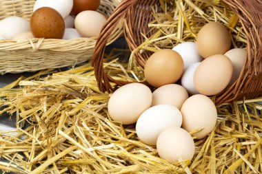 Kuru saman içinde çiğ yumurta. Gıda kavramı fotoğraf. 