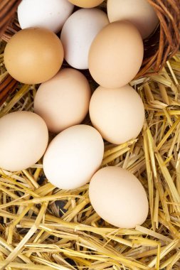 Kuru saman içinde çiğ yumurta. Gıda kavramı fotoğraf. 