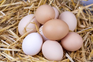 Kuru saman içinde çiğ yumurta. Gıda kavramı fotoğraf. 