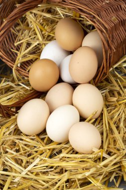 Kuru saman içinde çiğ yumurta. Gıda kavramı fotoğraf. 