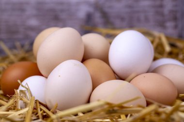 Kuru saman içinde çiğ yumurta. Gıda kavramı fotoğraf. 