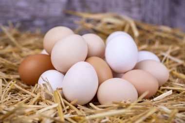 Kuru saman içinde çiğ yumurta. Gıda kavramı fotoğraf. 