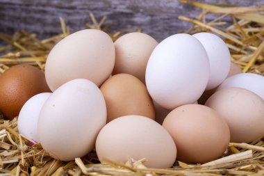 Kuru saman içinde çiğ yumurta. Gıda kavramı fotoğraf. 