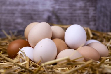 Kuru saman içinde çiğ yumurta. Gıda kavramı fotoğraf. 