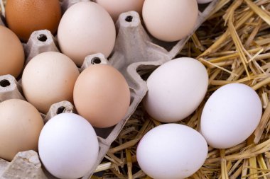 Kuru saman içinde çiğ yumurta. Gıda kavramı fotoğraf. 